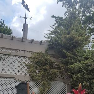 Meet your Posher, Irene